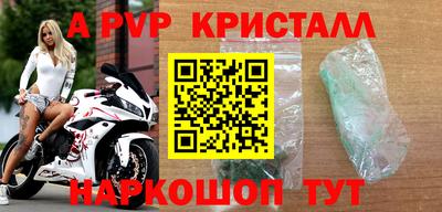 дмт Аргун