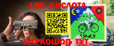 дмт Аргун