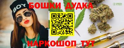 дмт Аргун
