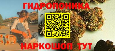 дмт Аргун